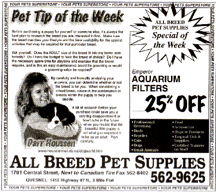 Pet Newspaper Clip Sample